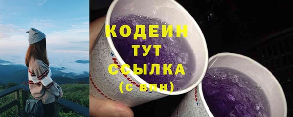 хмурый Богородицк