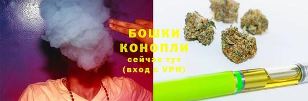 гидропоника Богданович