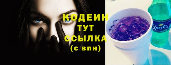 хмурый Богородицк