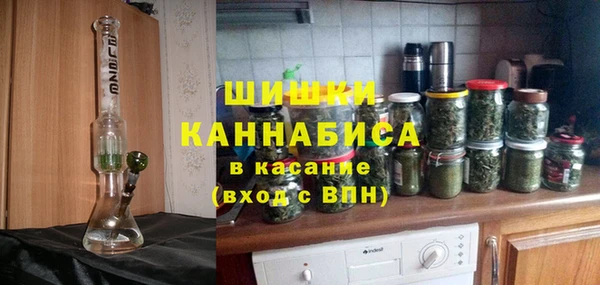 гидропоника Богданович