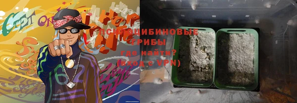 хмурый Богородицк