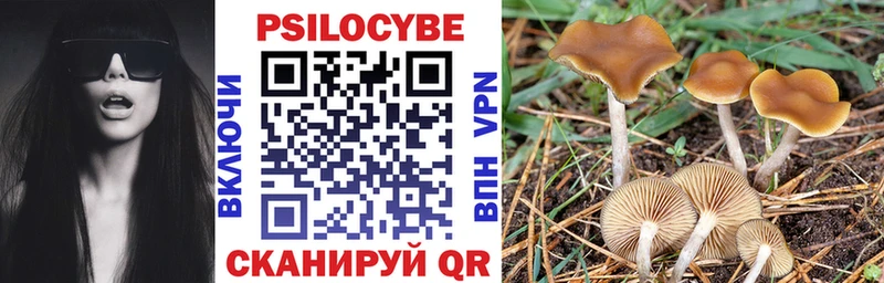 OMG   Белая Калитва  Галлюциногенные грибы Psilocybe 